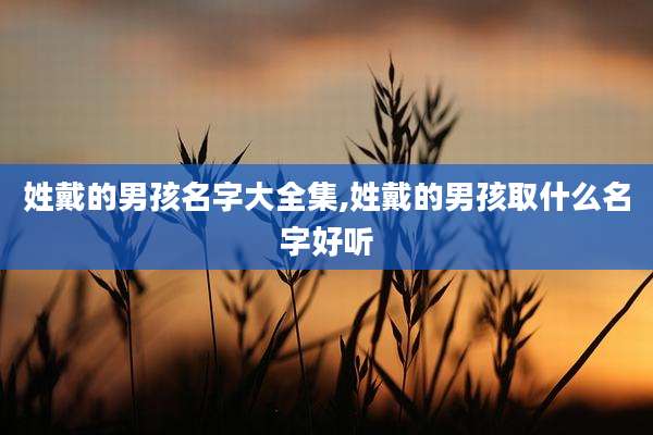 姓戴的男孩名字大全集,姓戴的男孩取什么名字好听