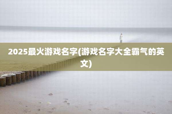 2025最火游戏名字(游戏名字大全霸气的英文)