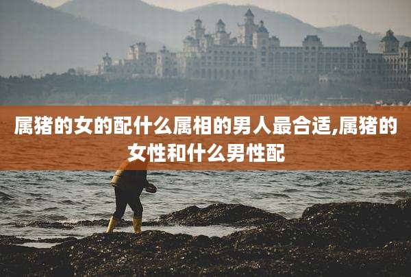 属猪的女的配什么属相的男人最合适,属猪的女性和什么男性配