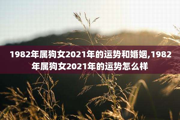 1982年属狗女2021年的运势和婚姻,1982年属狗女2021年的运势怎么样
