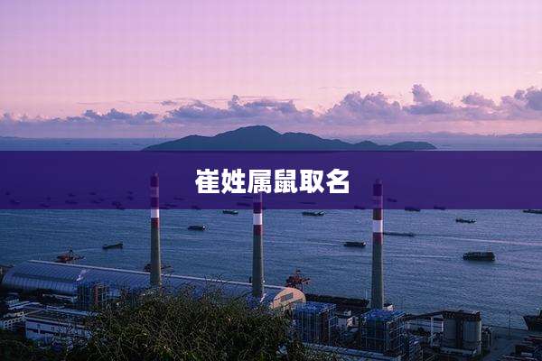 崔姓属鼠取名