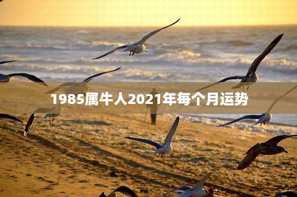 1985属牛人2021年每个月运势