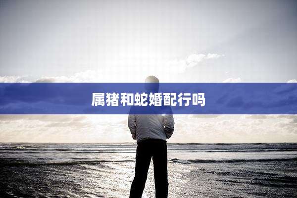 属猪和蛇婚配行吗