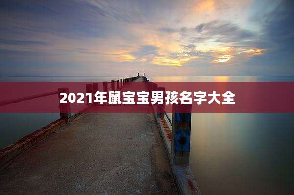 2021年鼠宝宝男孩名字大全