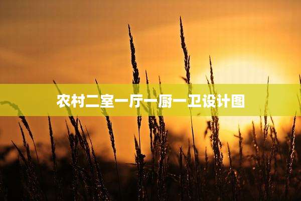农村二室一厅一厨一卫设计图