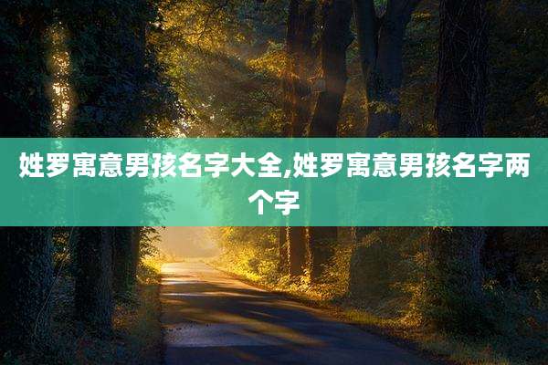 姓罗寓意男孩名字大全,姓罗寓意男孩名字两个字