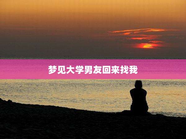 梦见大学男友回来找我
