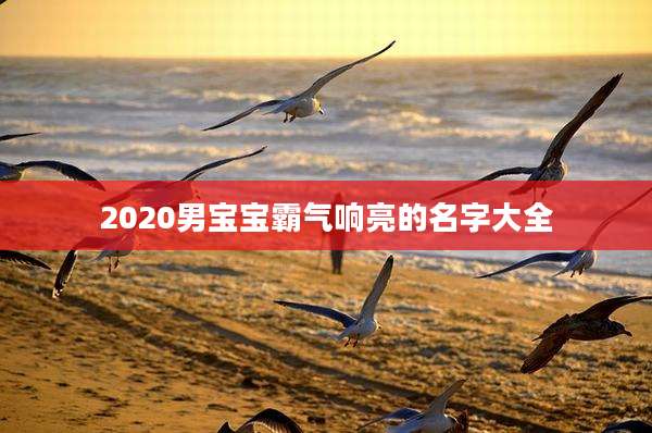 2020男宝宝霸气响亮的名字大全