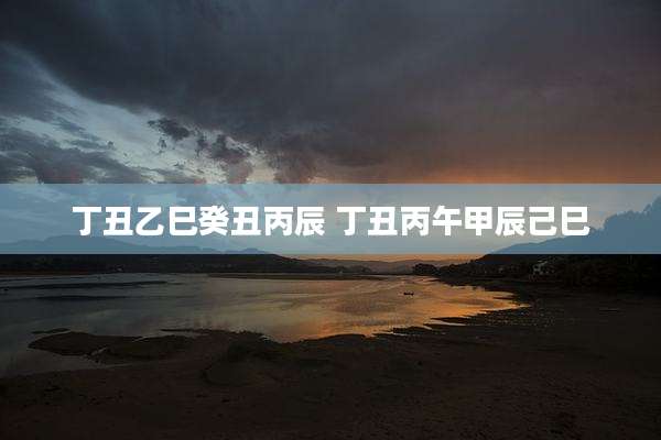 丁丑乙巳癸丑丙辰 丁丑丙午甲辰己巳
