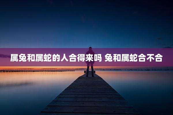 属兔和属蛇的人合得来吗 兔和属蛇合不合