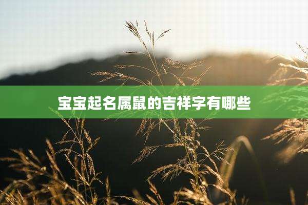 宝宝起名属鼠的吉祥字有哪些