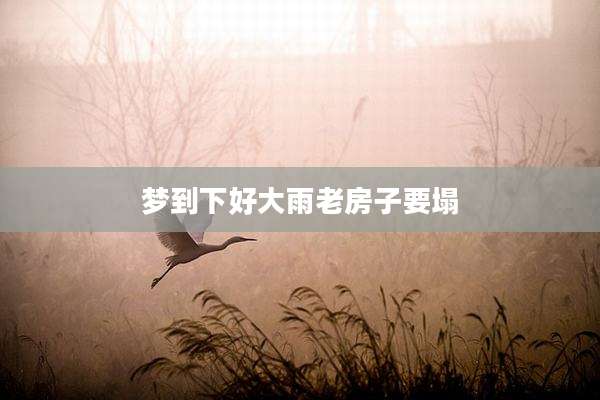 梦到下好大雨老房子要塌