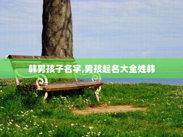 韩男孩子名字,男孩起名大全姓韩