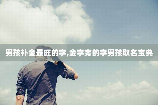 男孩补金最旺的字,金字旁的字男孩取名宝典