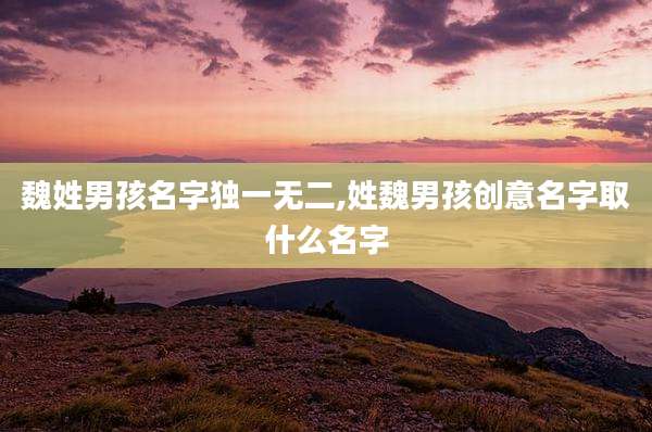 魏姓男孩名字独一无二,姓魏男孩创意名字取什么名字