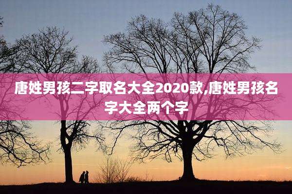 唐姓男孩二字取名大全2020款,唐姓男孩名字大全两个字