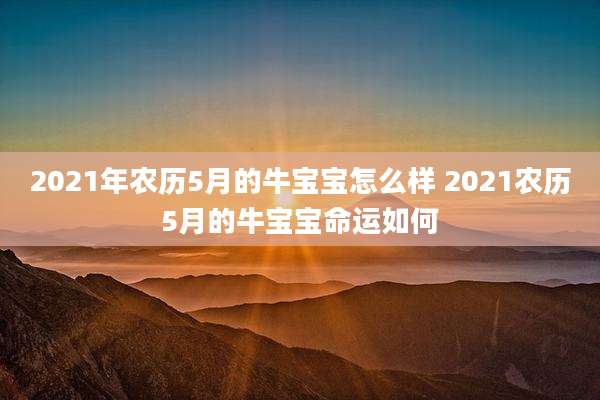 2021年农历5月的牛宝宝怎么样 2021农历5月的牛宝宝命运如何