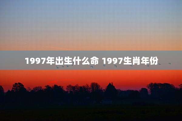 1997年出生什么命 1997生肖年份