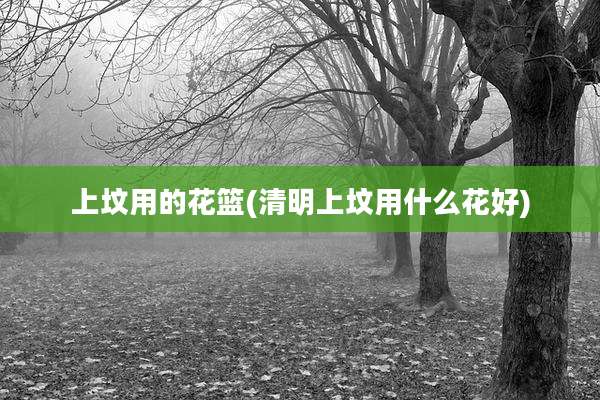 上坟用的花篮(清明上坟用什么花好)