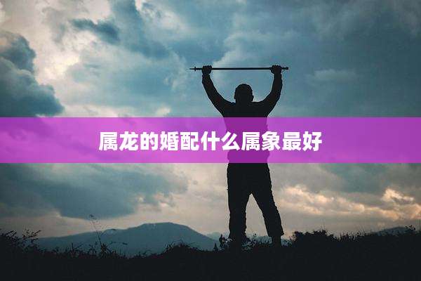 属龙的婚配什么属象最好