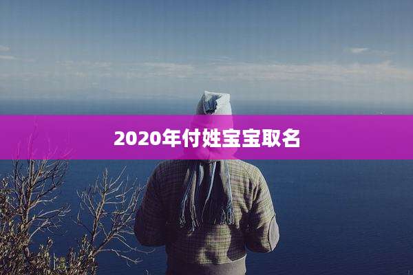 2020年付姓宝宝取名