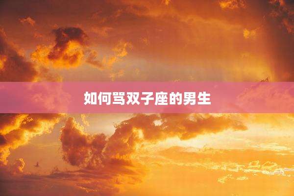 如何骂双子座的男生