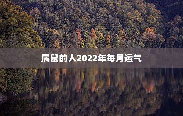 属鼠的人2022年每月运气