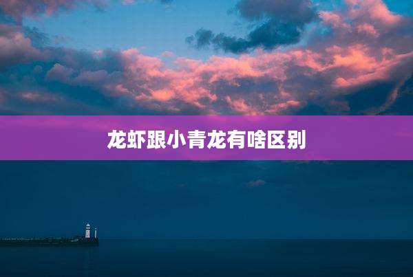 龙虾跟小青龙有啥区别
