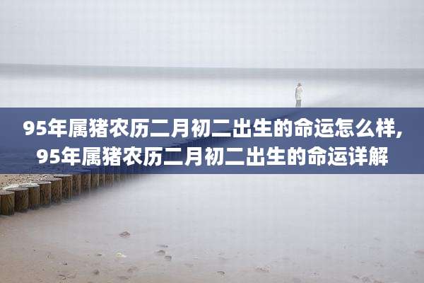 95年属猪农历二月初二出生的命运怎么样,95年属猪农历二月初二出生的命运详解