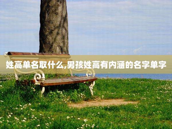 姓高单名取什么,男孩姓高有内涵的名字单字