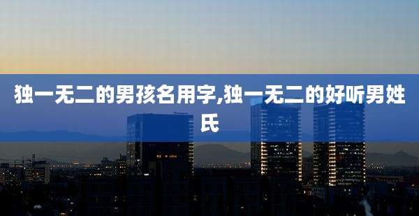 独一无二的男孩名用字,独一无二的好听男姓氏