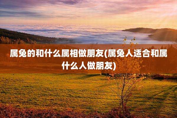 属兔的和什么属相做朋友(属兔人适合和属什么人做朋友)