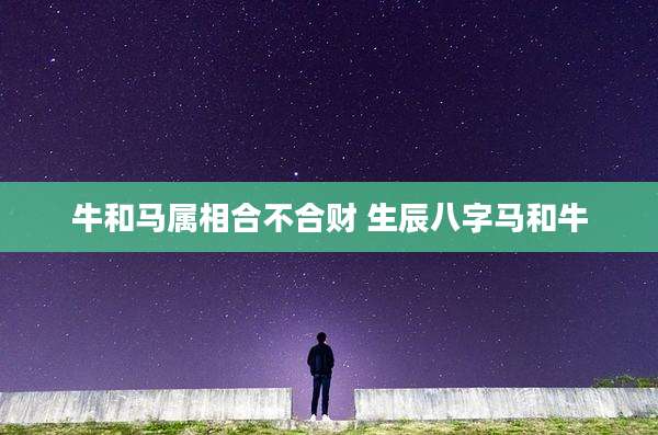 牛和马属相合不合财 生辰八字马和牛