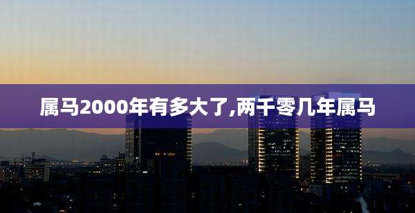 属马2000年有多大了,两千零几年属马