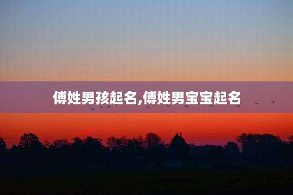 傅姓男孩起名,傅姓男宝宝起名