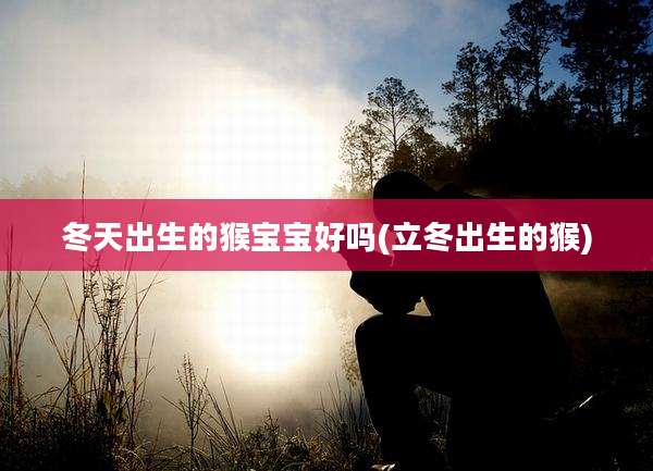 冬天出生的猴宝宝好吗(立冬出生的猴)