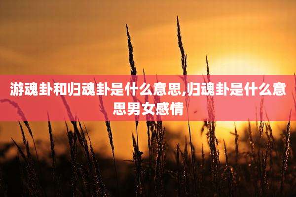 游魂卦和归魂卦是什么意思,归魂卦是什么意思男女感情