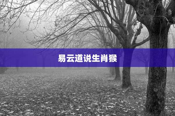 易云道说生肖猴