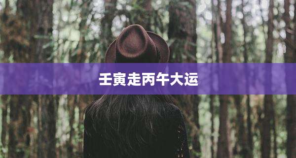 壬寅走丙午大运