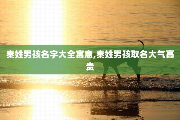 秦姓男孩名字大全寓意,秦姓男孩取名大气高贵