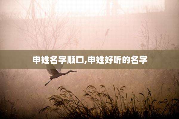 申姓名字顺口,申姓好听的名字