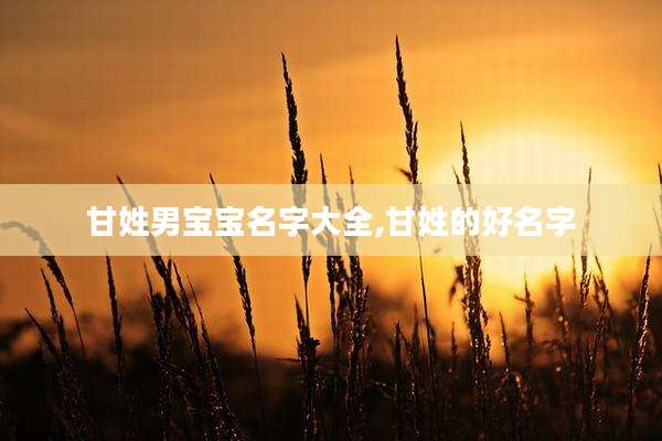 甘姓男宝宝名字大全,甘姓的好名字
