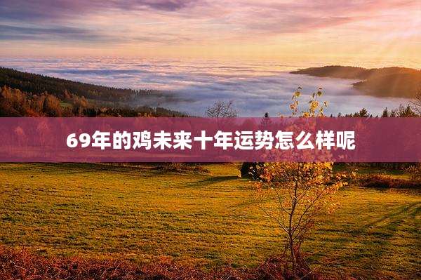 69年的鸡未来十年运势怎么样呢