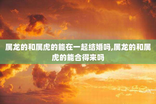 属龙的和属虎的能在一起结婚吗,属龙的和属虎的能合得来吗