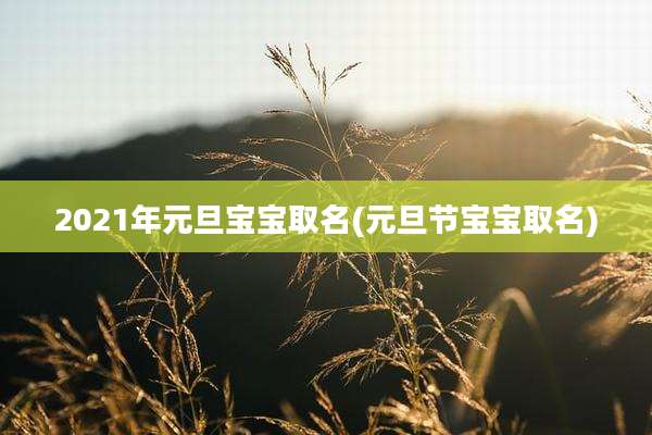 2021年元旦宝宝取名(元旦节宝宝取名)