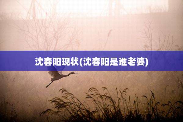 沈春阳现状(沈春阳是谁老婆)