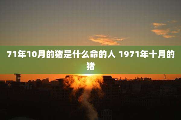 71年10月的猪是什么命的人 1971年十月的猪