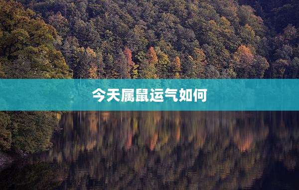 今天属鼠运气如何