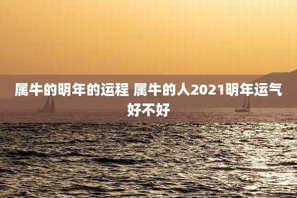 属牛的明年的运程 属牛的人2021明年运气好不好