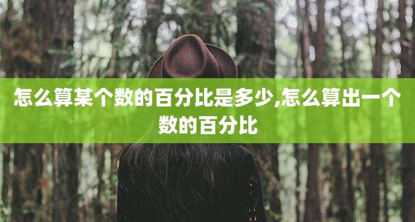 怎么算某个数的百分比是多少,怎么算出一个数的百分比